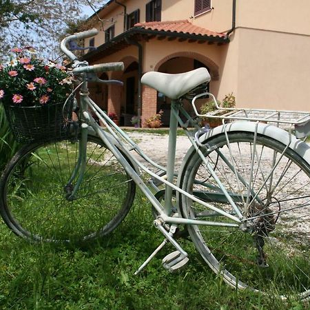 Agriturismo Diciocco Venturina Terme Eksteriør bilde