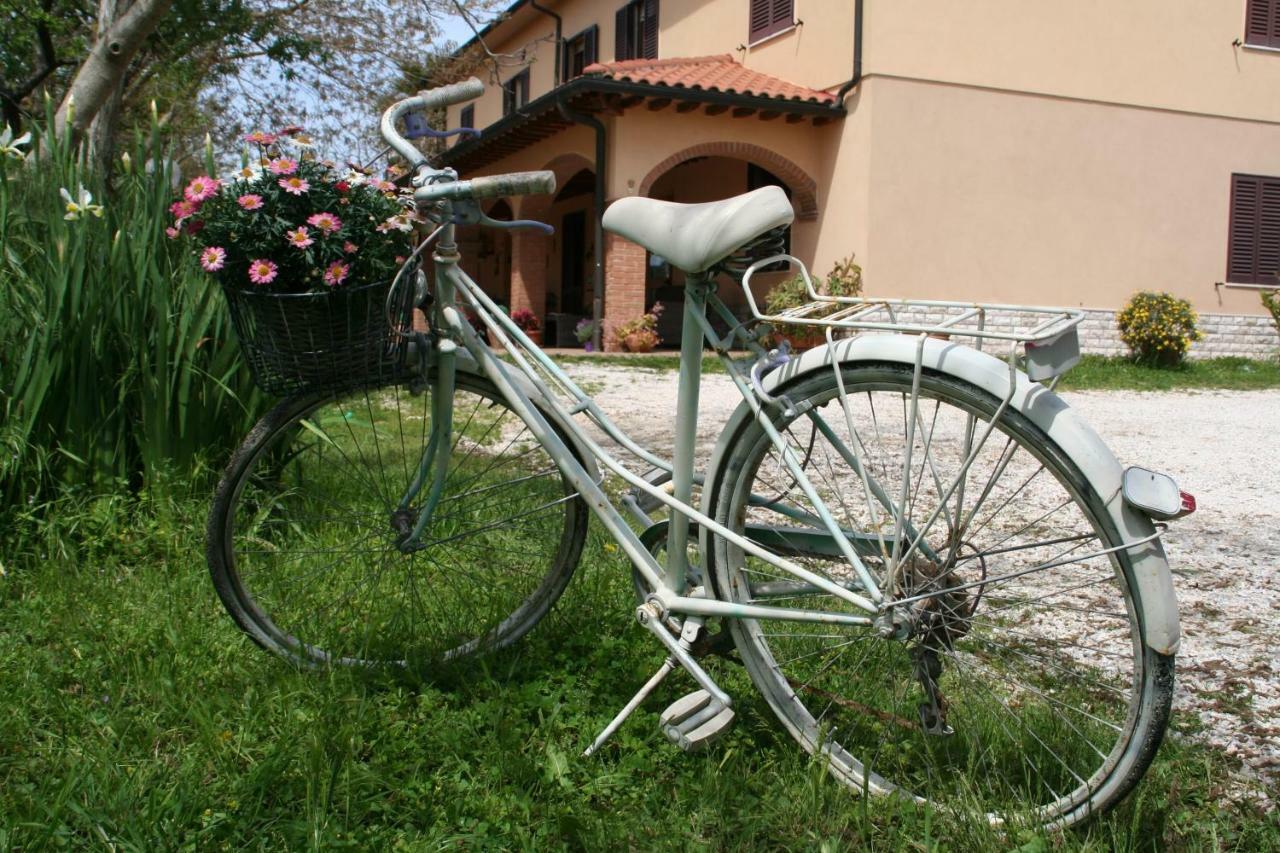 Agriturismo Diciocco Venturina Terme Eksteriør bilde
