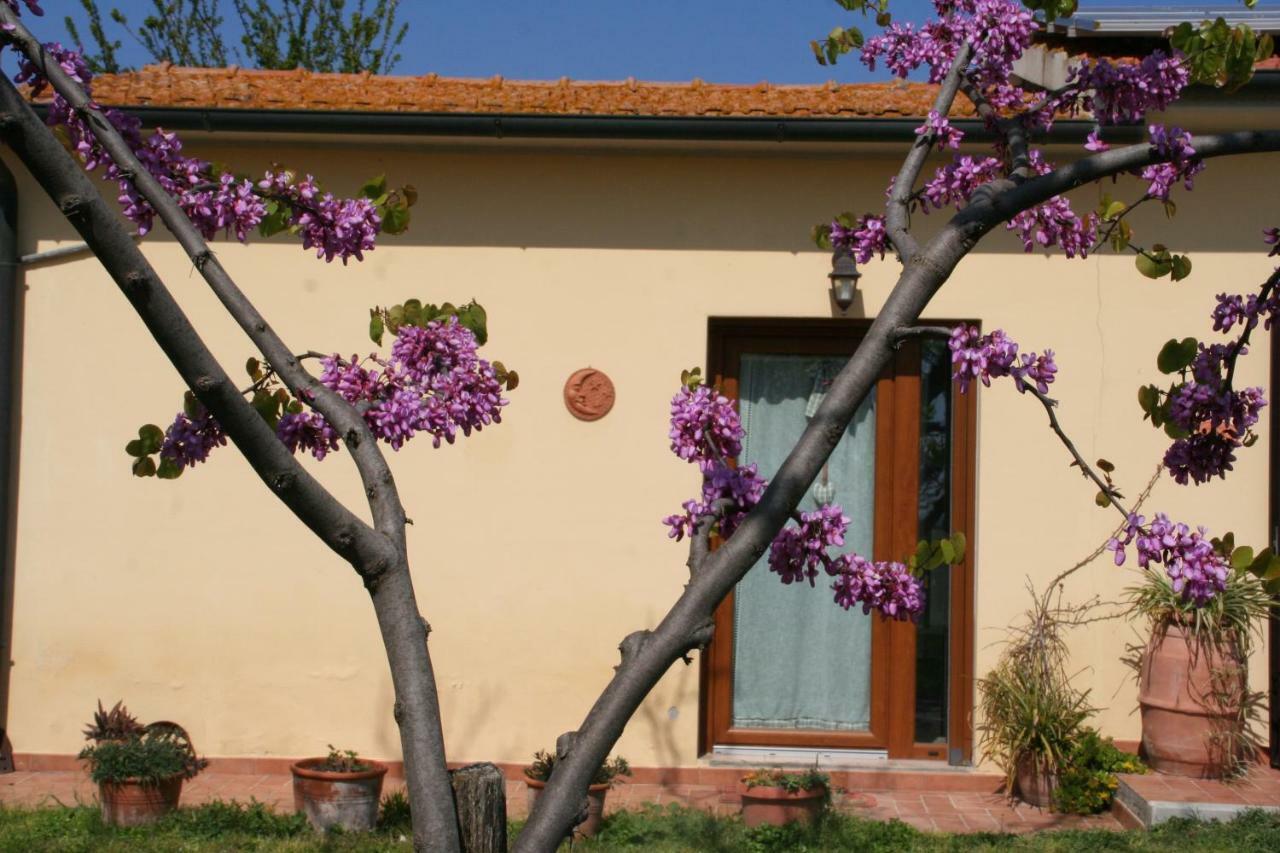 Agriturismo Diciocco Venturina Terme Eksteriør bilde