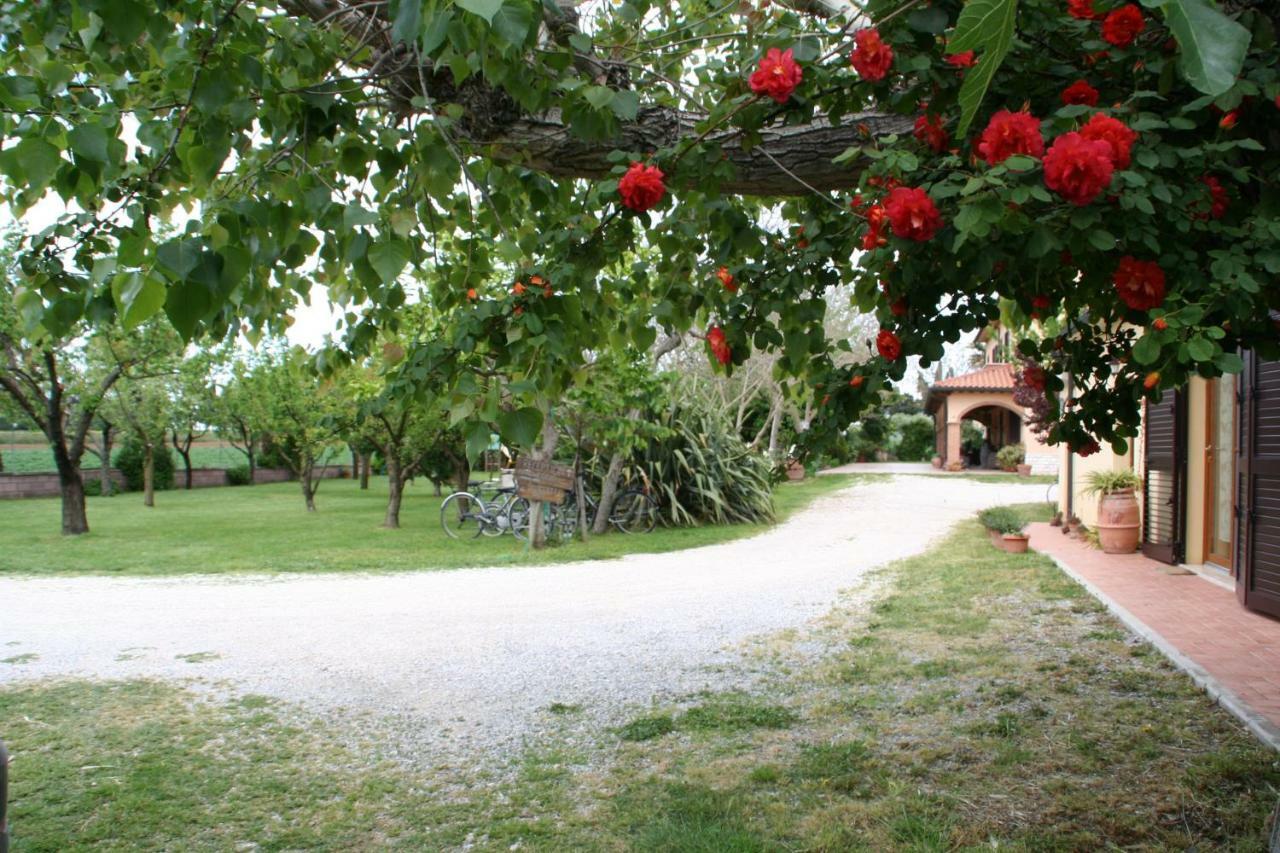 Agriturismo Diciocco Venturina Terme Eksteriør bilde